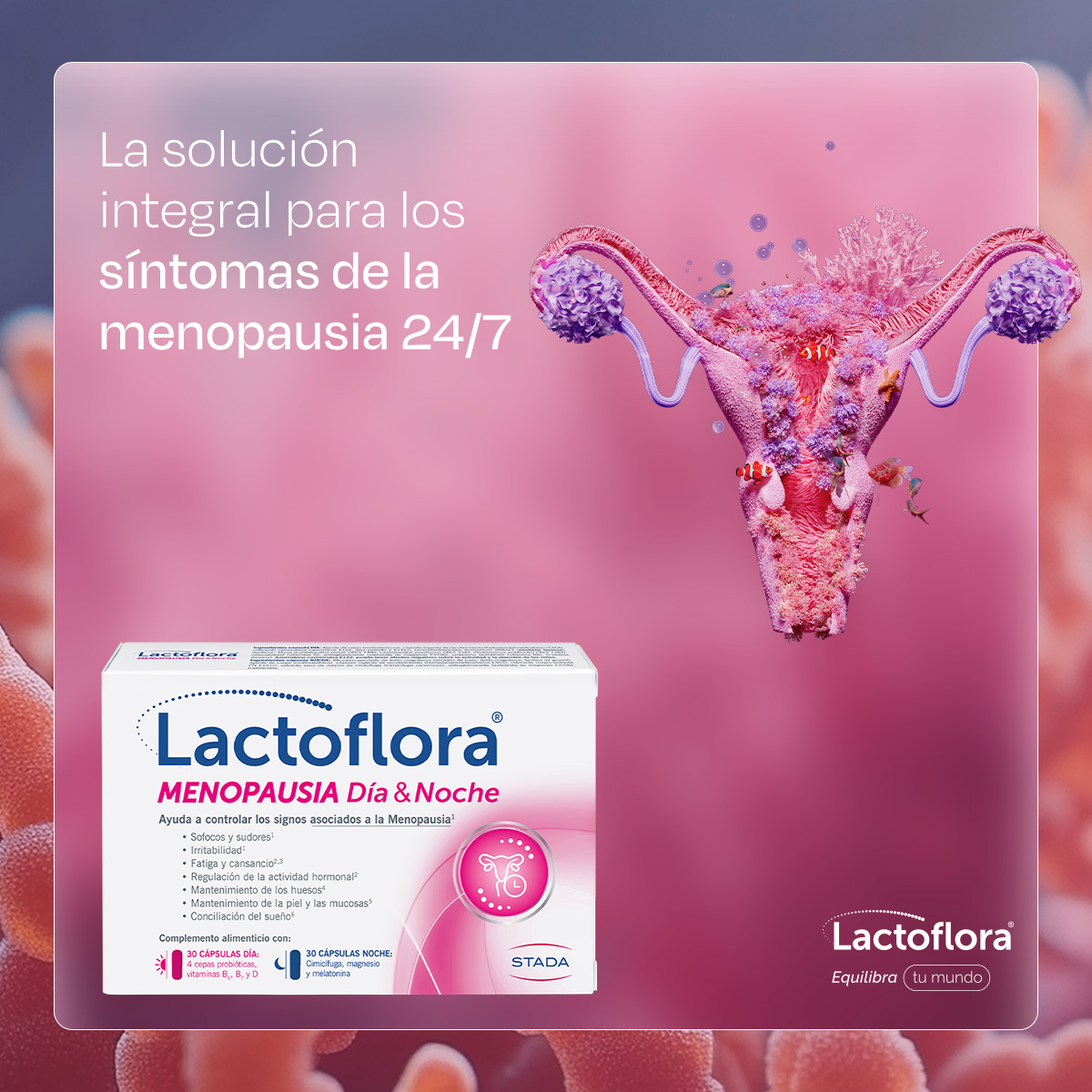 Lactoflora Facebook ad