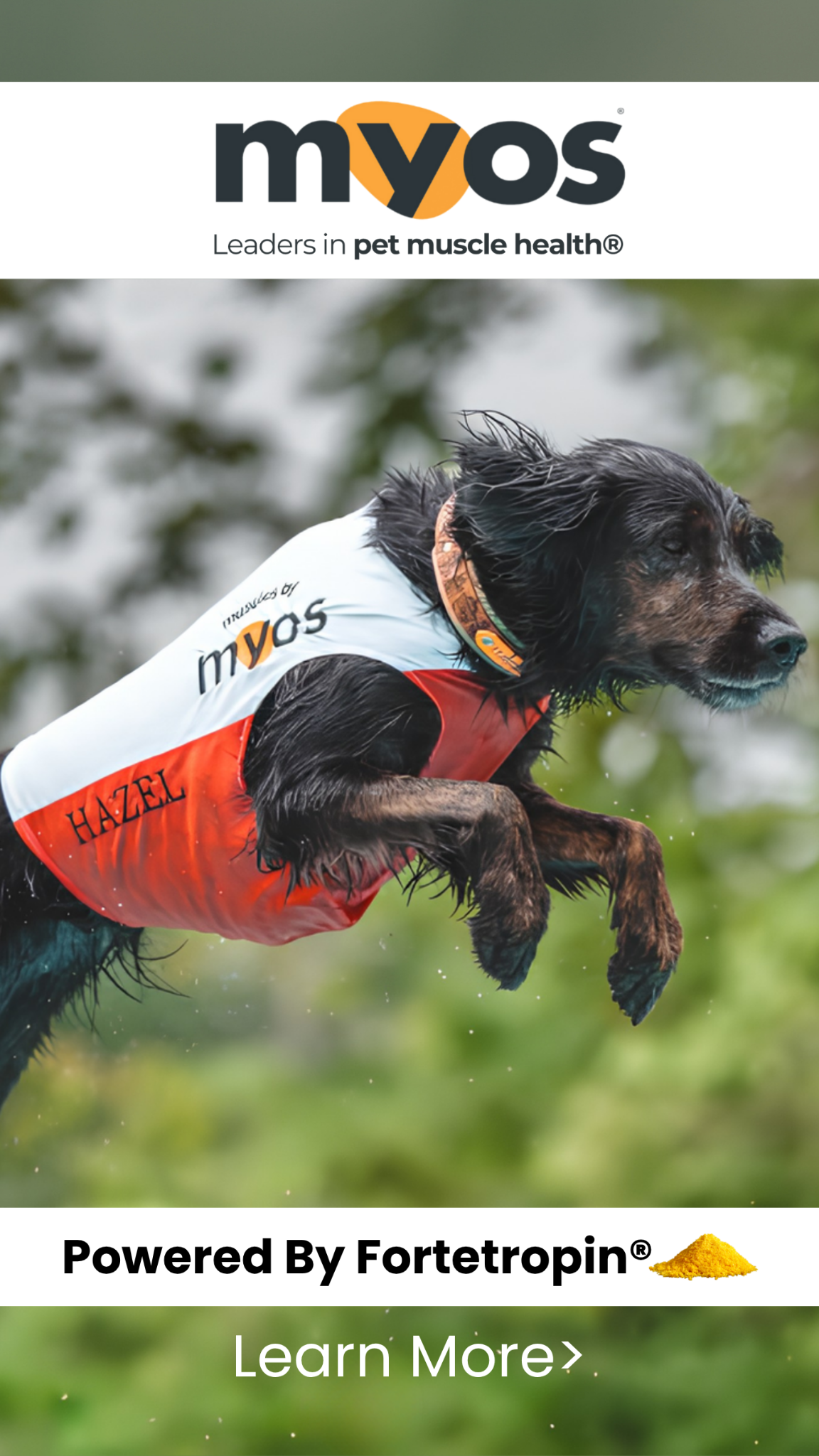 Myos Pet Products Facebook ad