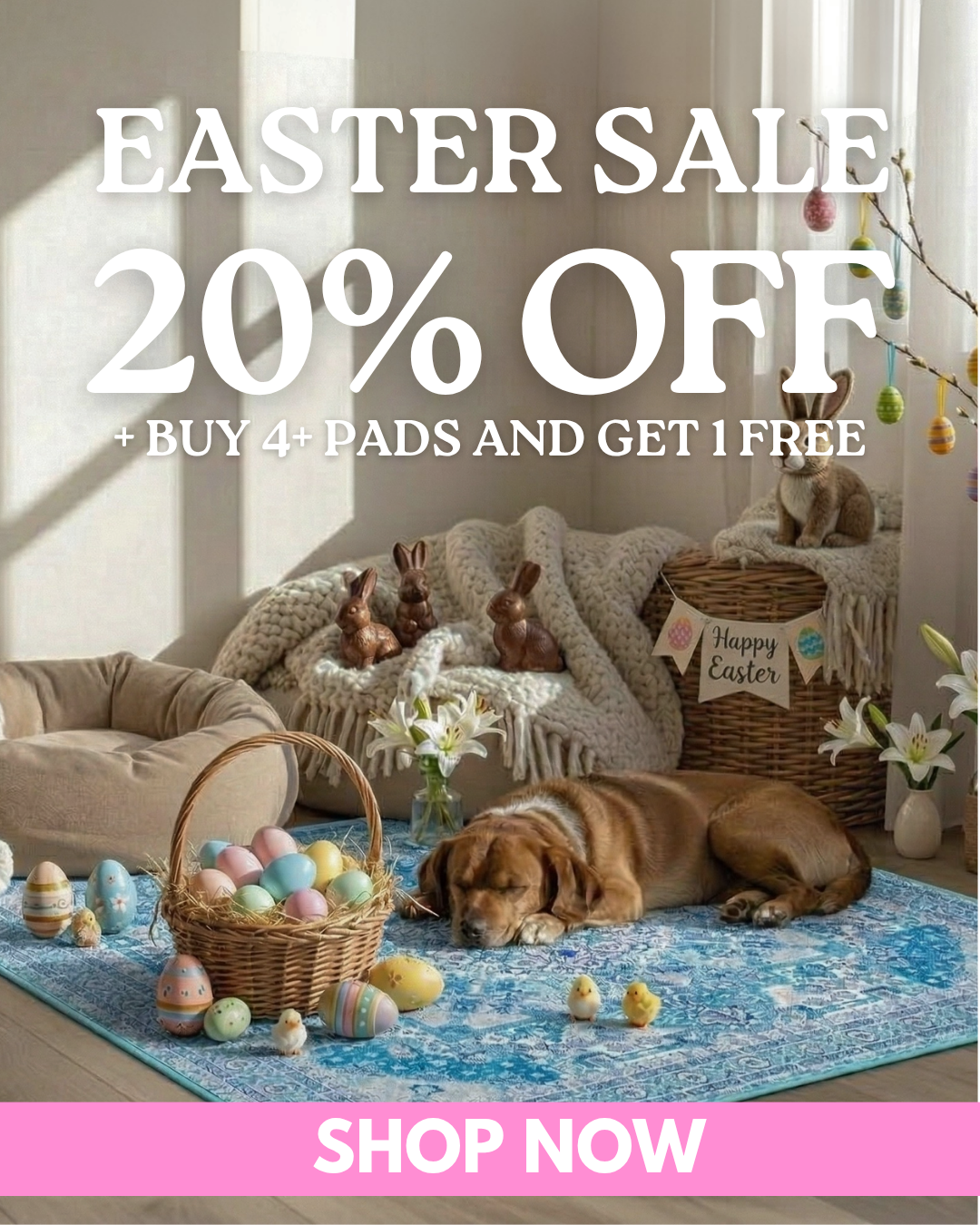 Potty Buddy Facebook ad