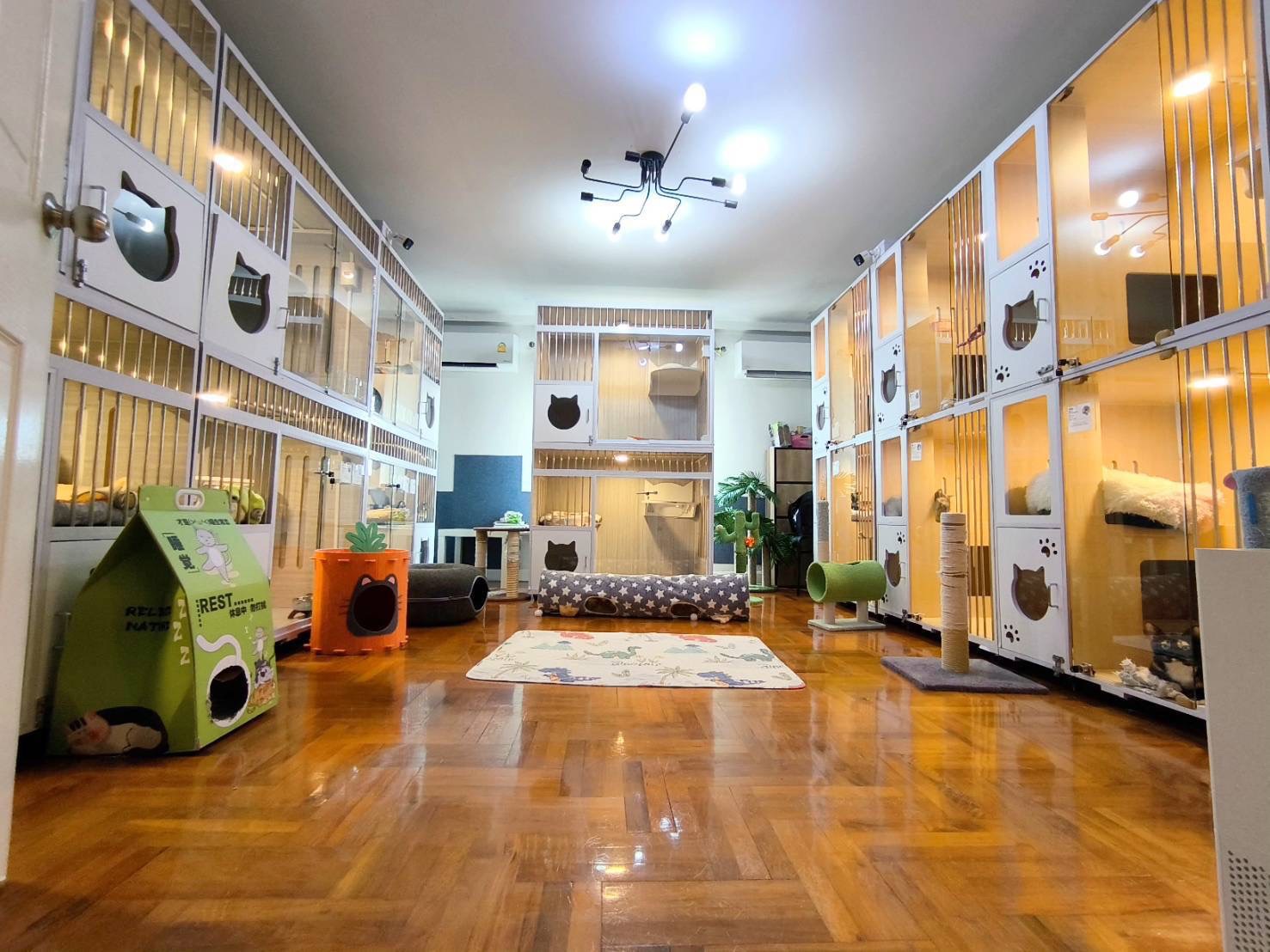 At Home Cat Hotel Facebook ad: มีแผนเดินทางไปเที่ยว น้องแมวที่บ้านมีที่ฝากยังอะ?