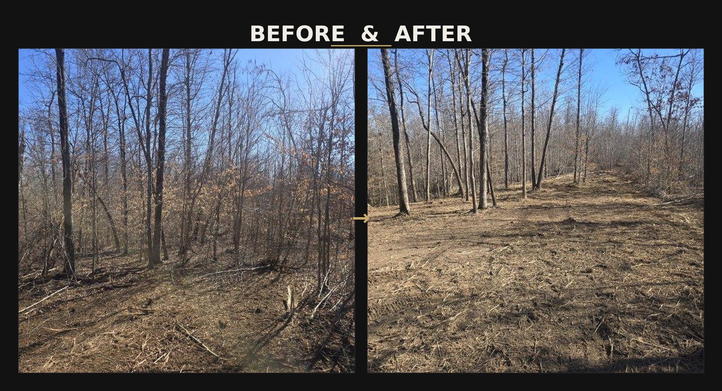 Precision Grading Specialists Facebook ad: Turn Overgrown Land into Opportunity Fast