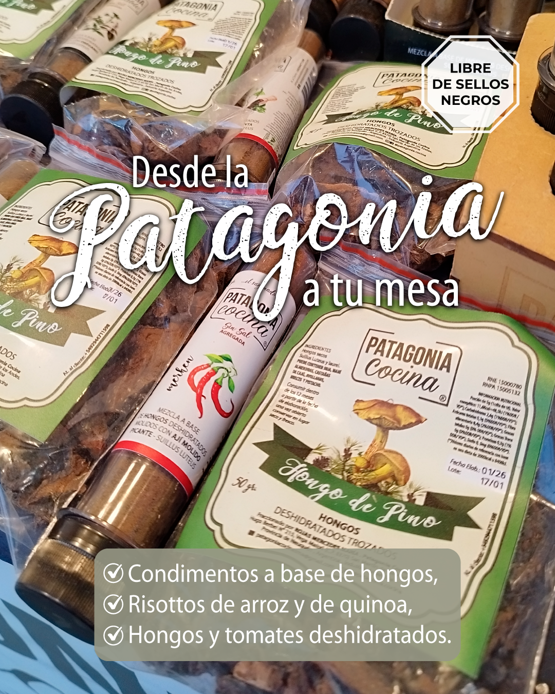 Patagonia Cocina l Alimentación Saludable Facebook ad: Chatea con nosotros
