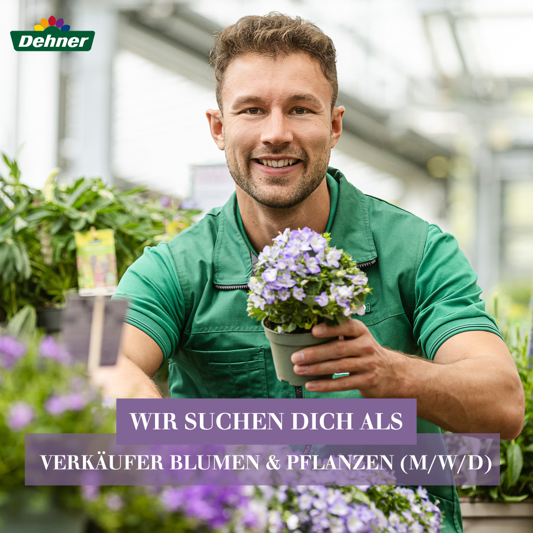 Dehner Karriere Facebook ad