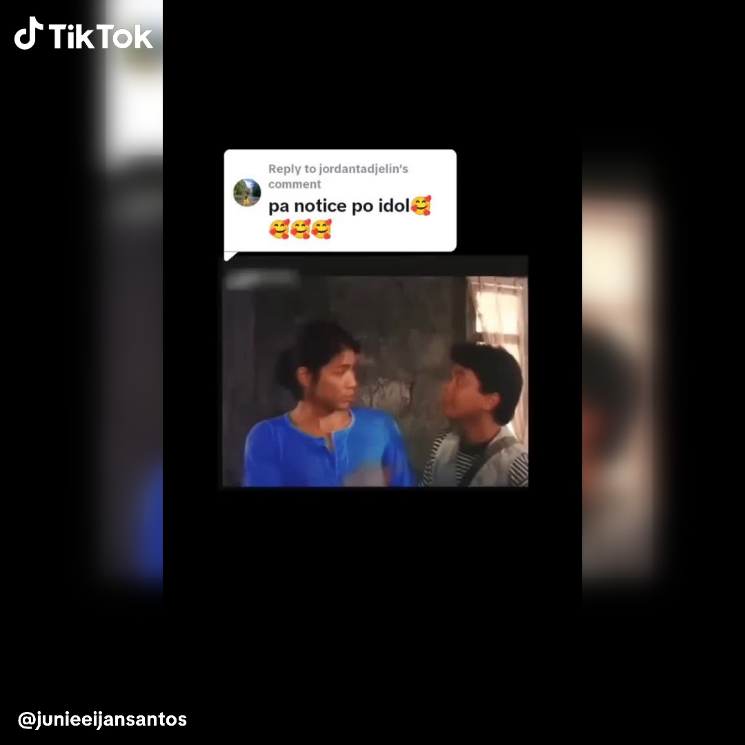 TikTok Global Facebook ad