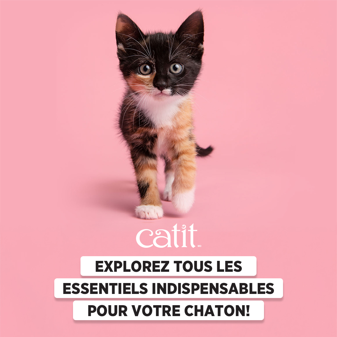 Catit Canada Facebook ad