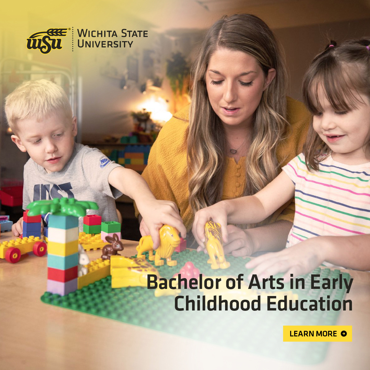 Online & Adult Learning at Wichita State Facebook ad