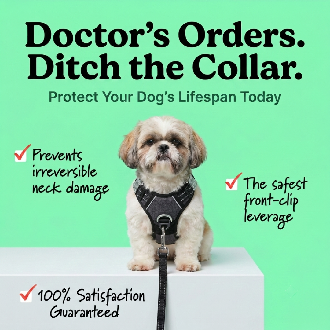 PawSafe Facebook ad
