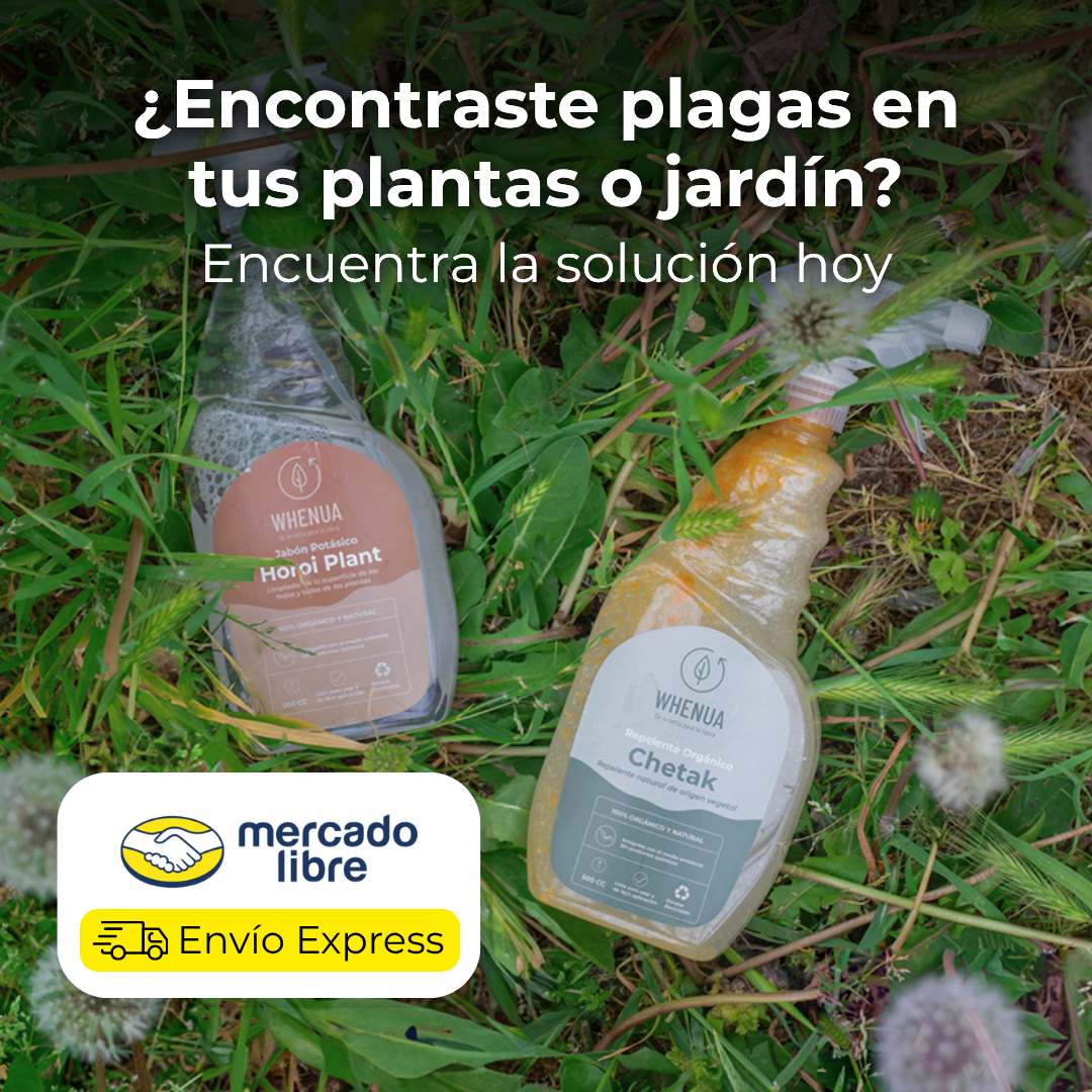 Whenua Facebook ad: Compra ahora lo que necesitas