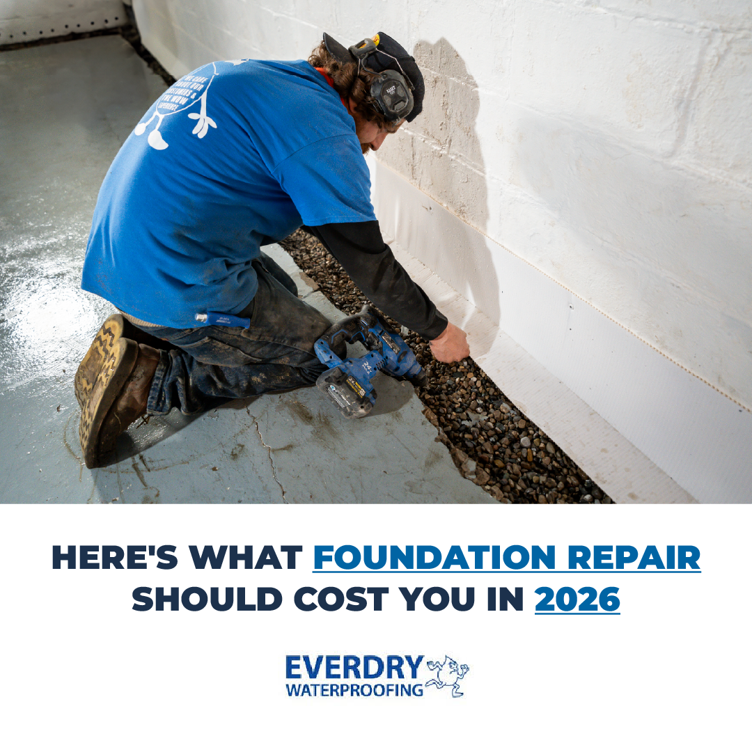 EverDry Waterproofing of Michiana Facebook ad