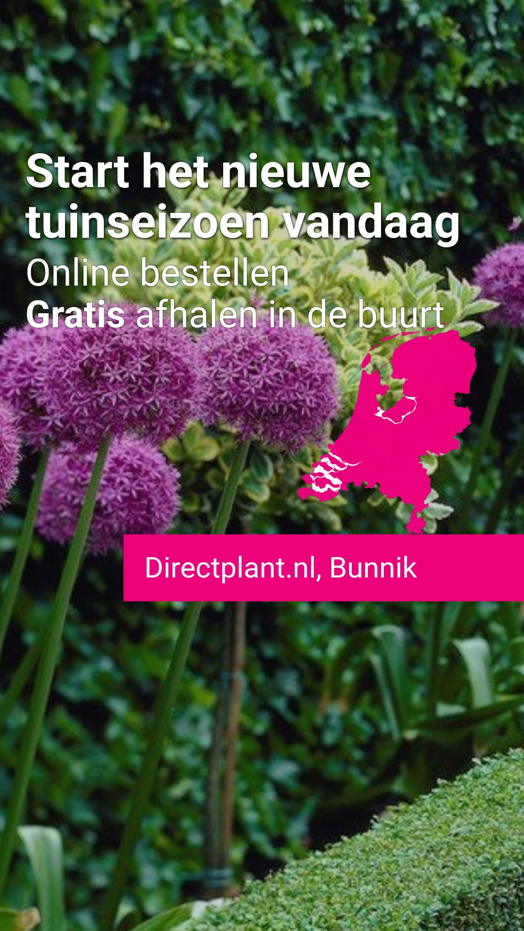 Directplant Facebook ad