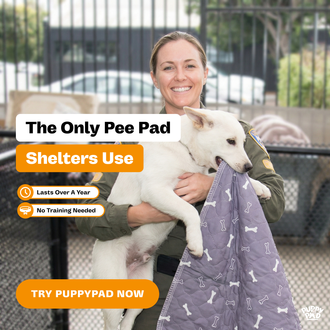 PuppyPad Facebook ad