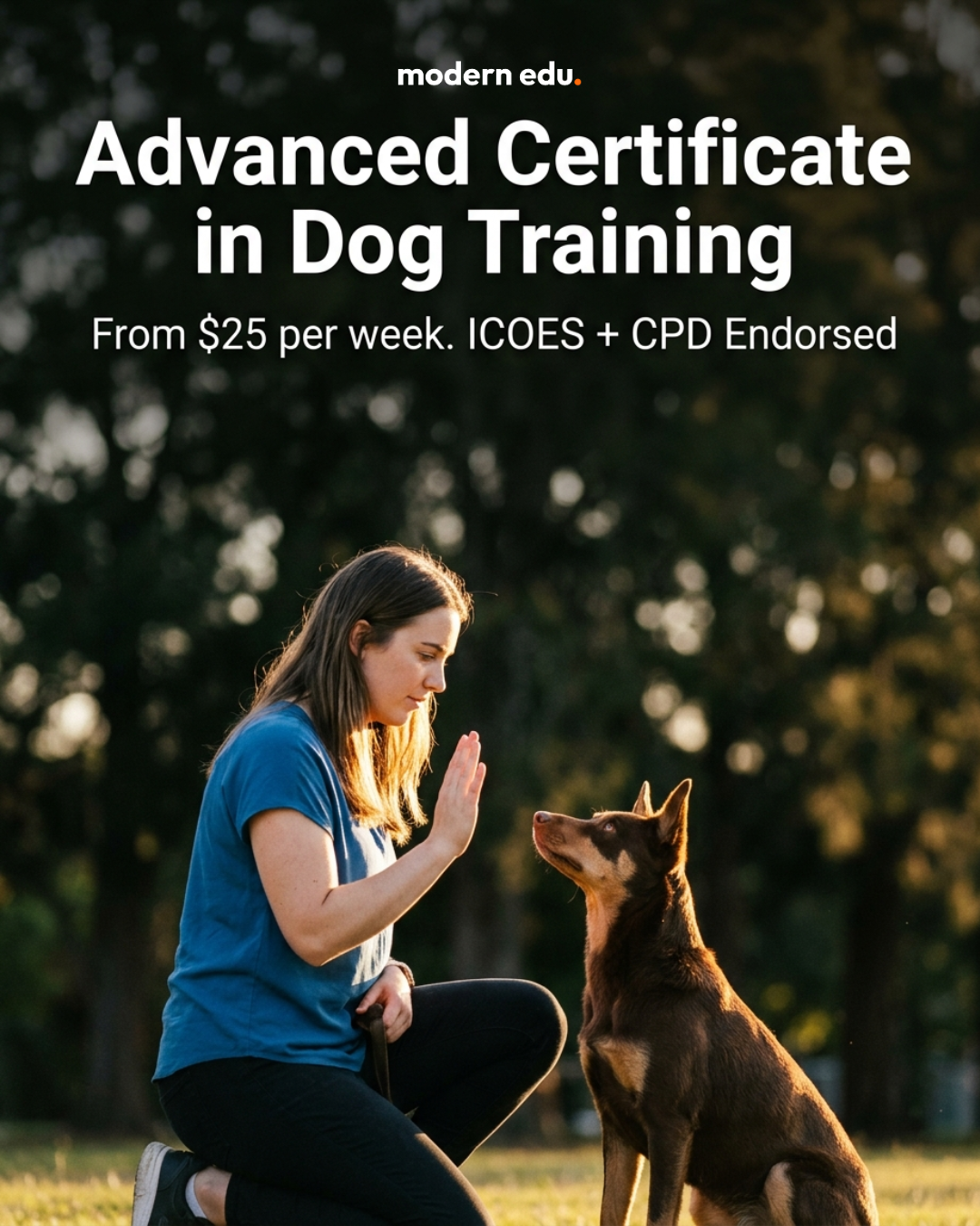 Modern Edu Australia Facebook ad