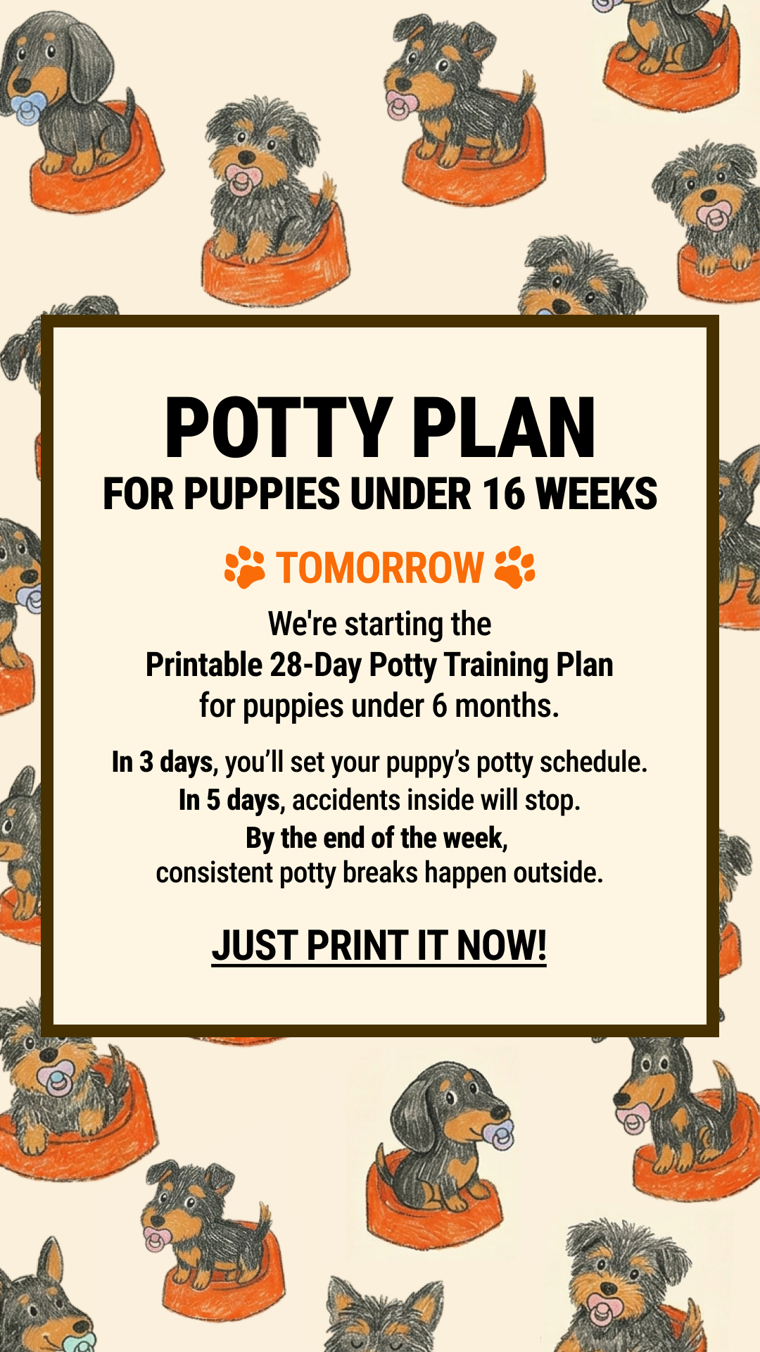Woofz - Puppy Training Facebook ad