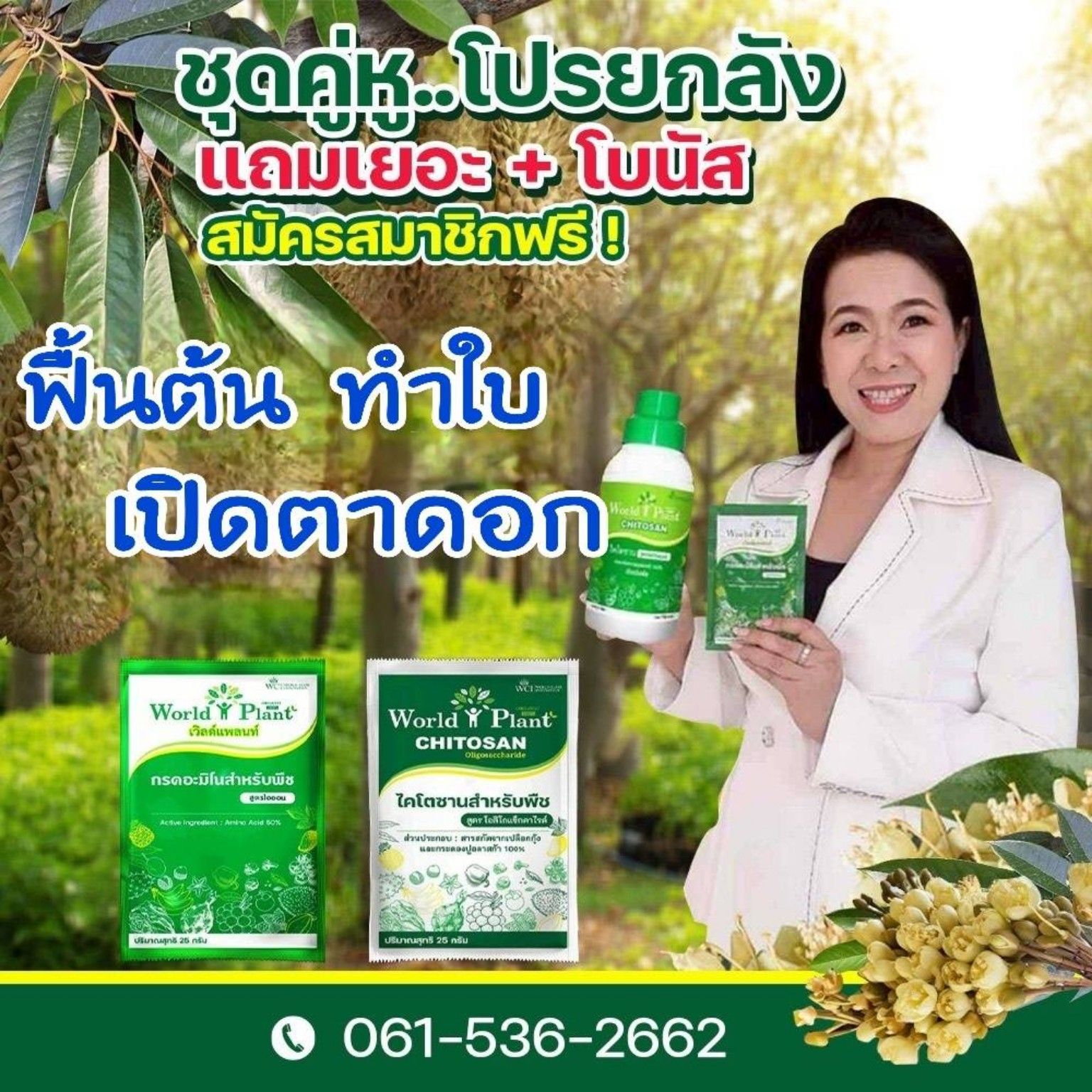 ศูนย์จำหน่ายสินค้า World Plant ครบวงจร By คุณปิยดา Facebook ad: ทุเรียนฟื้นไว ใบสวย เปิดตาดอกดี