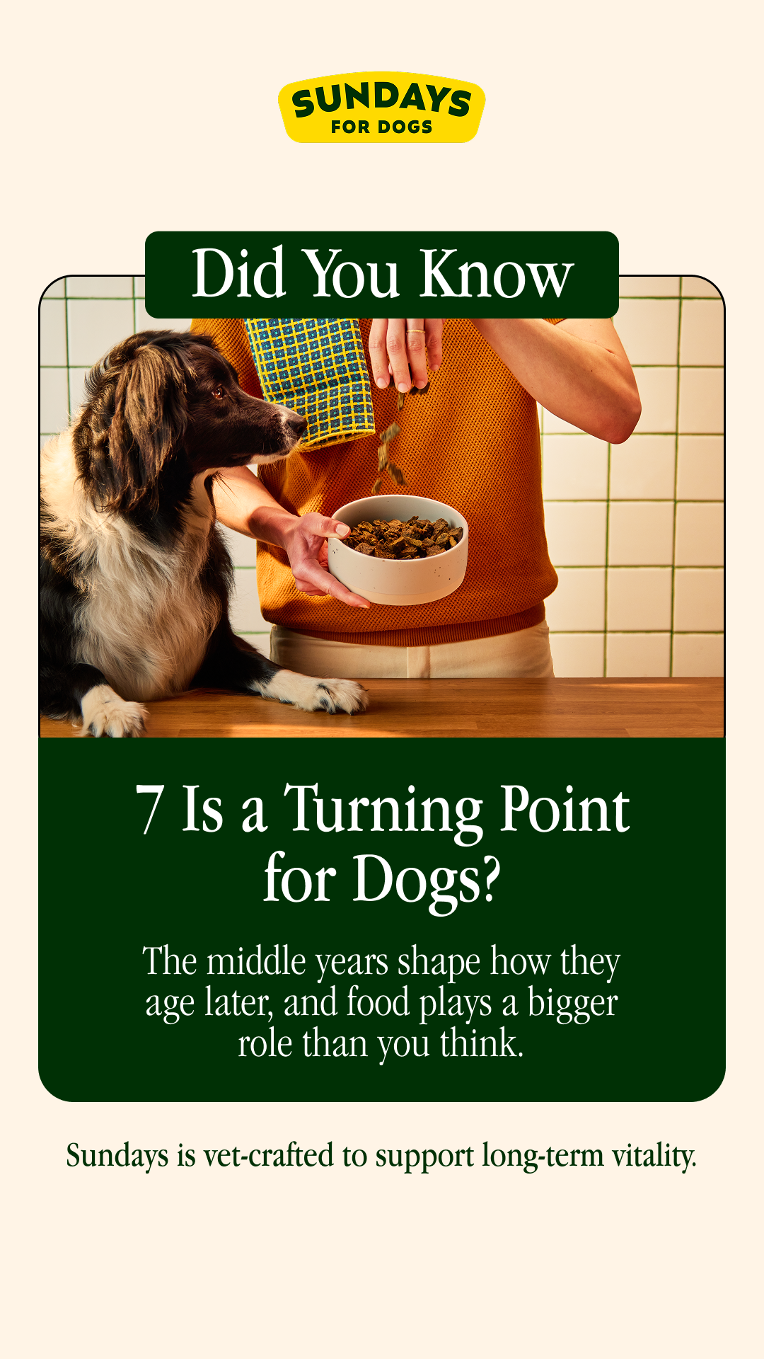 Sundays Facebook ad