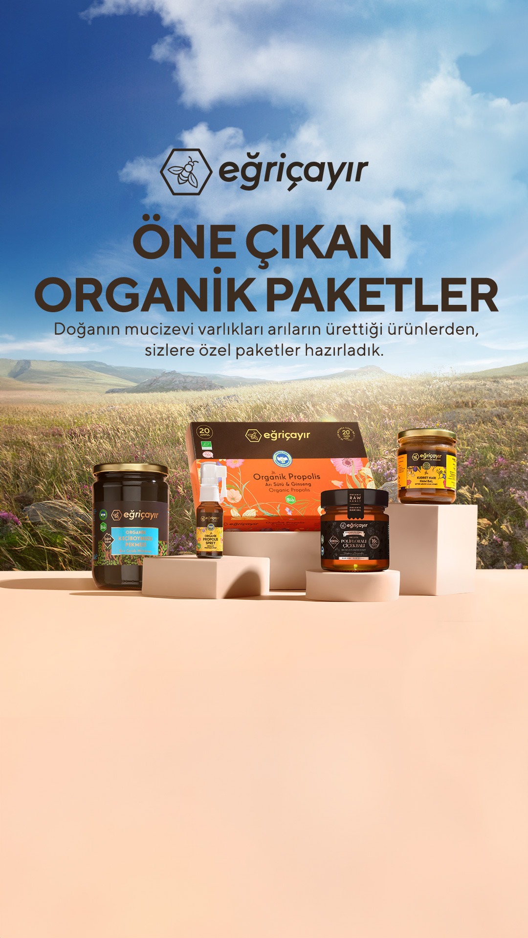 Eğriçayır Facebook ad: Organik Bal ve Arı Ürünleri | Eğriçayır