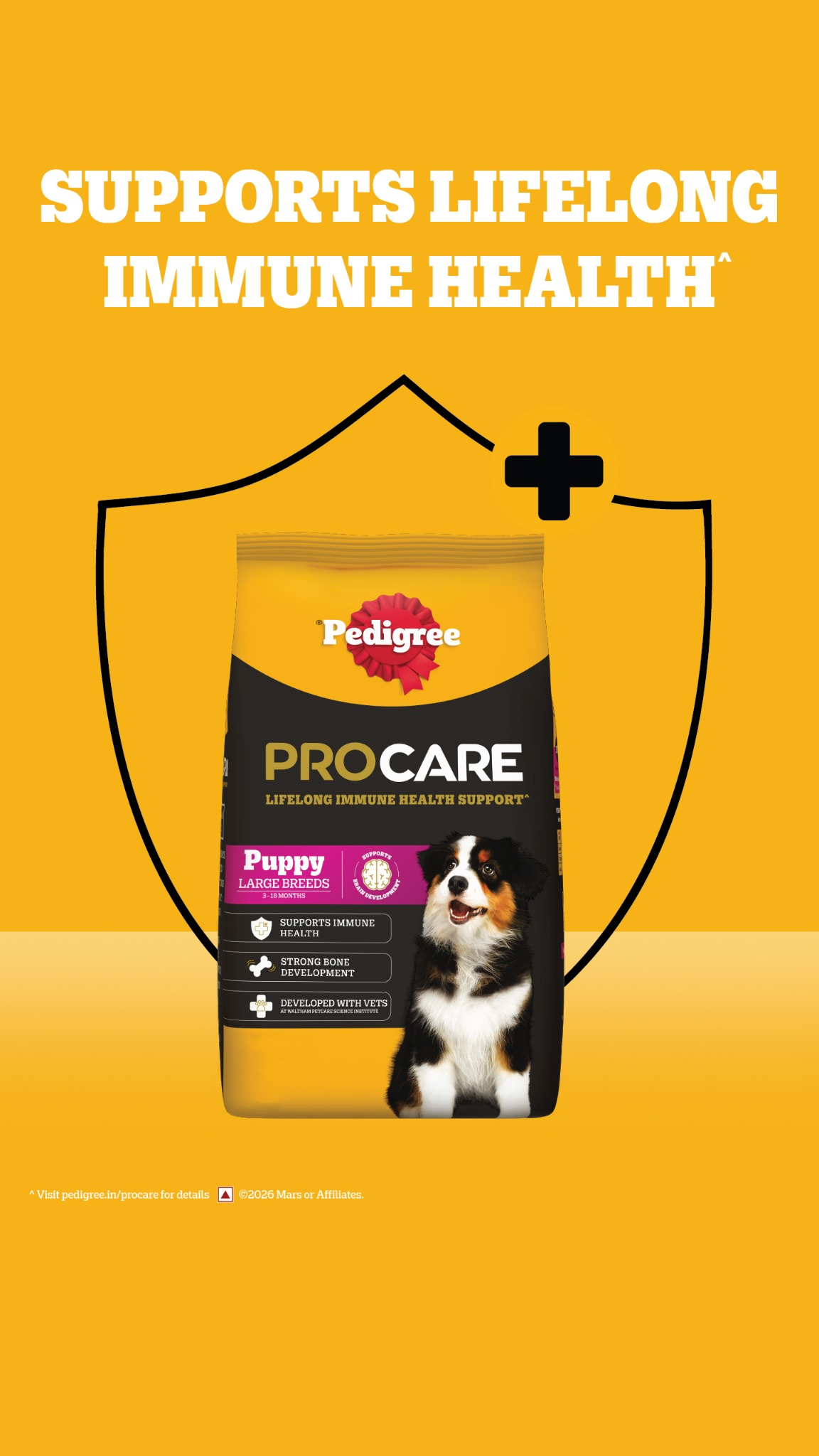 Pedigree India Facebook ad