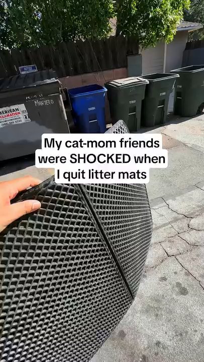 Muddy Mat Facebook ad: Ultimate Litter Defense!