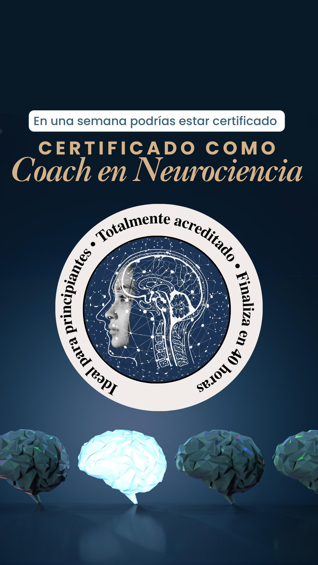 Efficient Coach Facebook ad