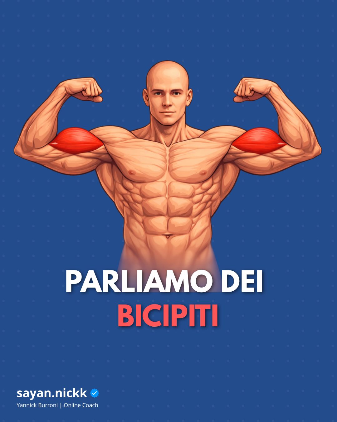 yannick_burroni Facebook ad: Il bicipite brachiale è un muscolo fortemente coinvolto…
