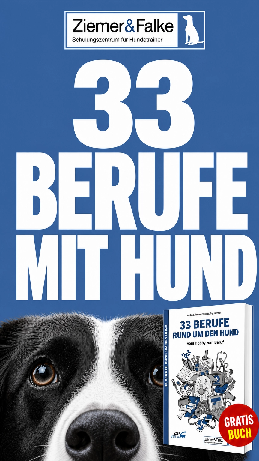Ziemer & Falke - Schulungszentrum für Hundetrainer Facebook ad