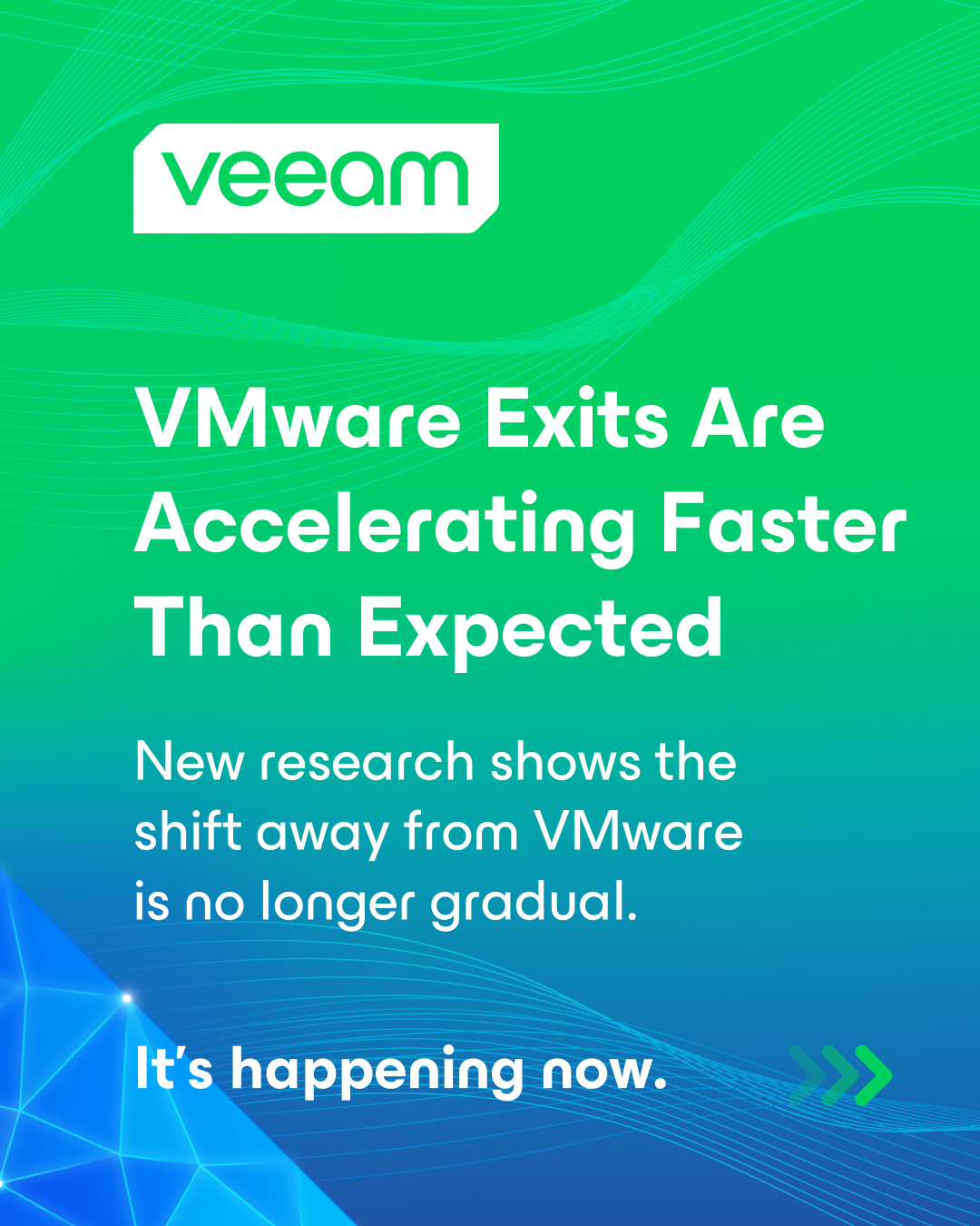 Veeam Software Facebook ad