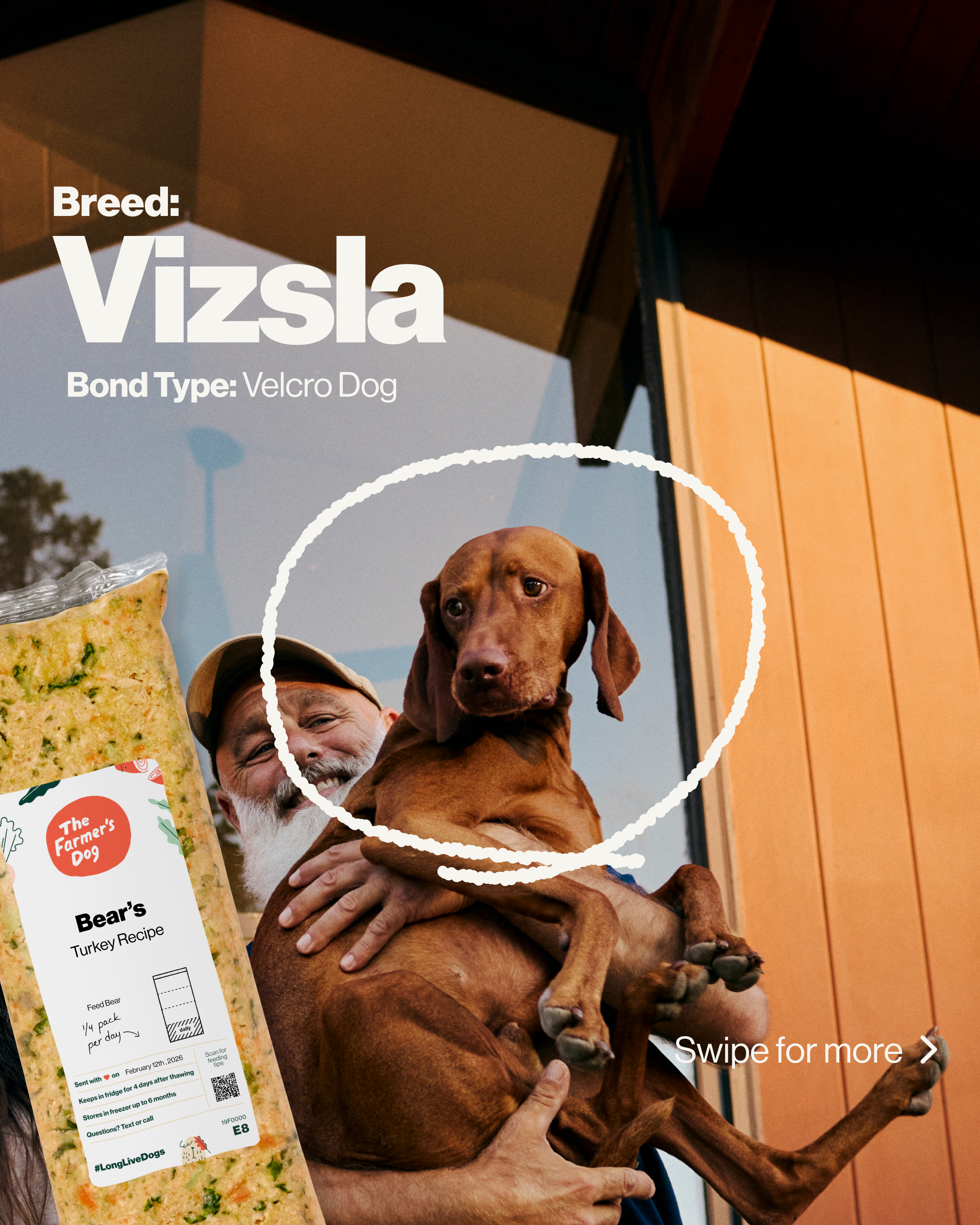 The Farmer's Dog Facebook ad
