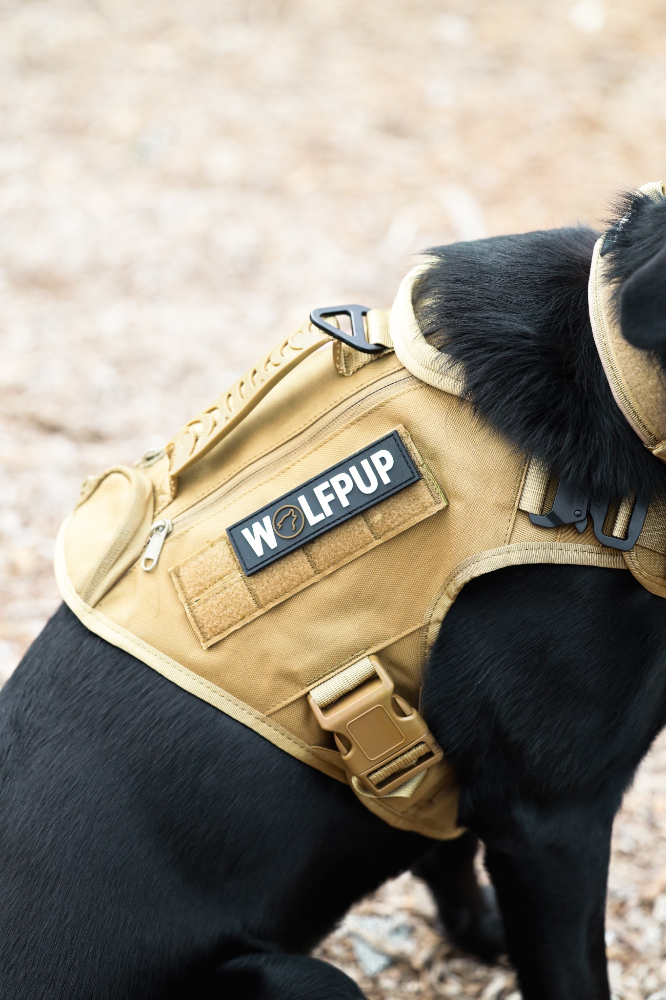 WOLFpak Facebook ad: Dog Gear & Accessories by WOLFpak