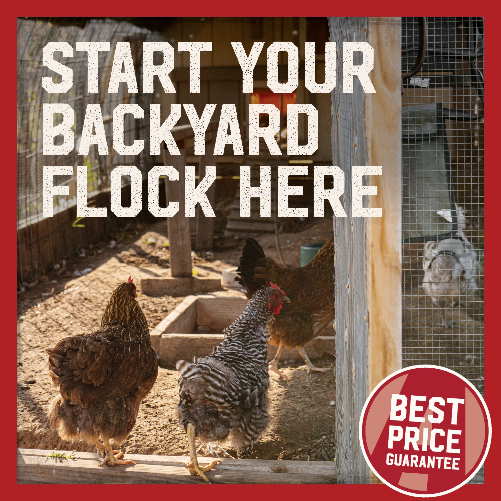 Atwoods Ranch & Home Goods Facebook ad