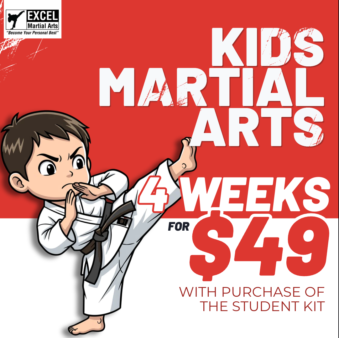 Excel Martial Arts Facebook ad