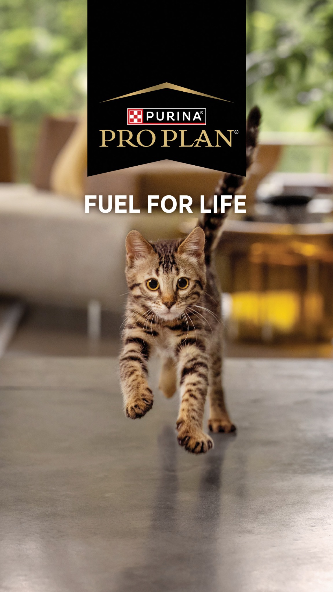 Purina Pro Plan Facebook ad