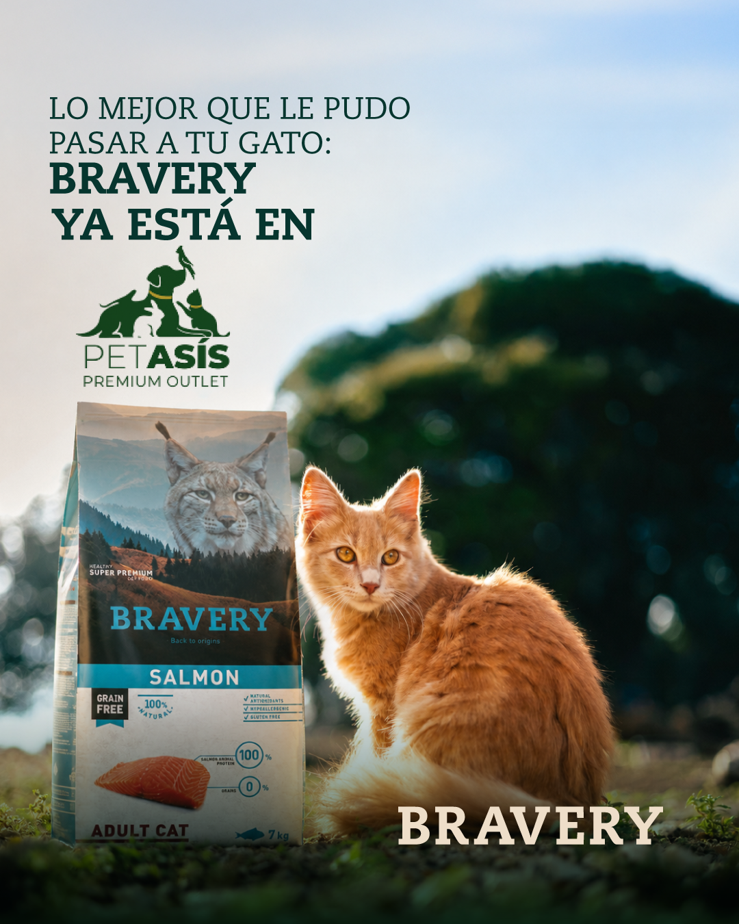 Bravery Pet Food CR Facebook ad: Para los que eligen natural.