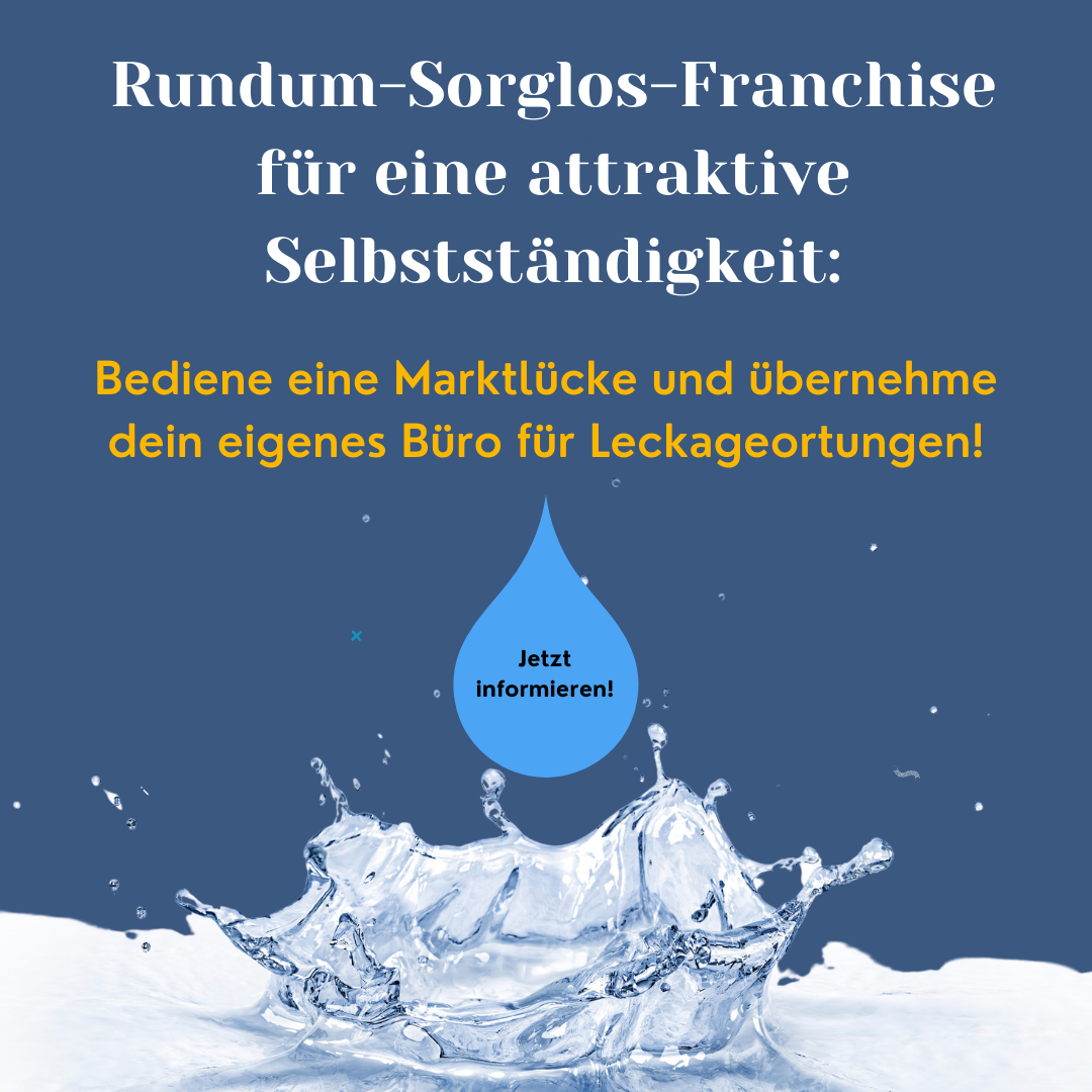 FranchisePORTAL Facebook ad