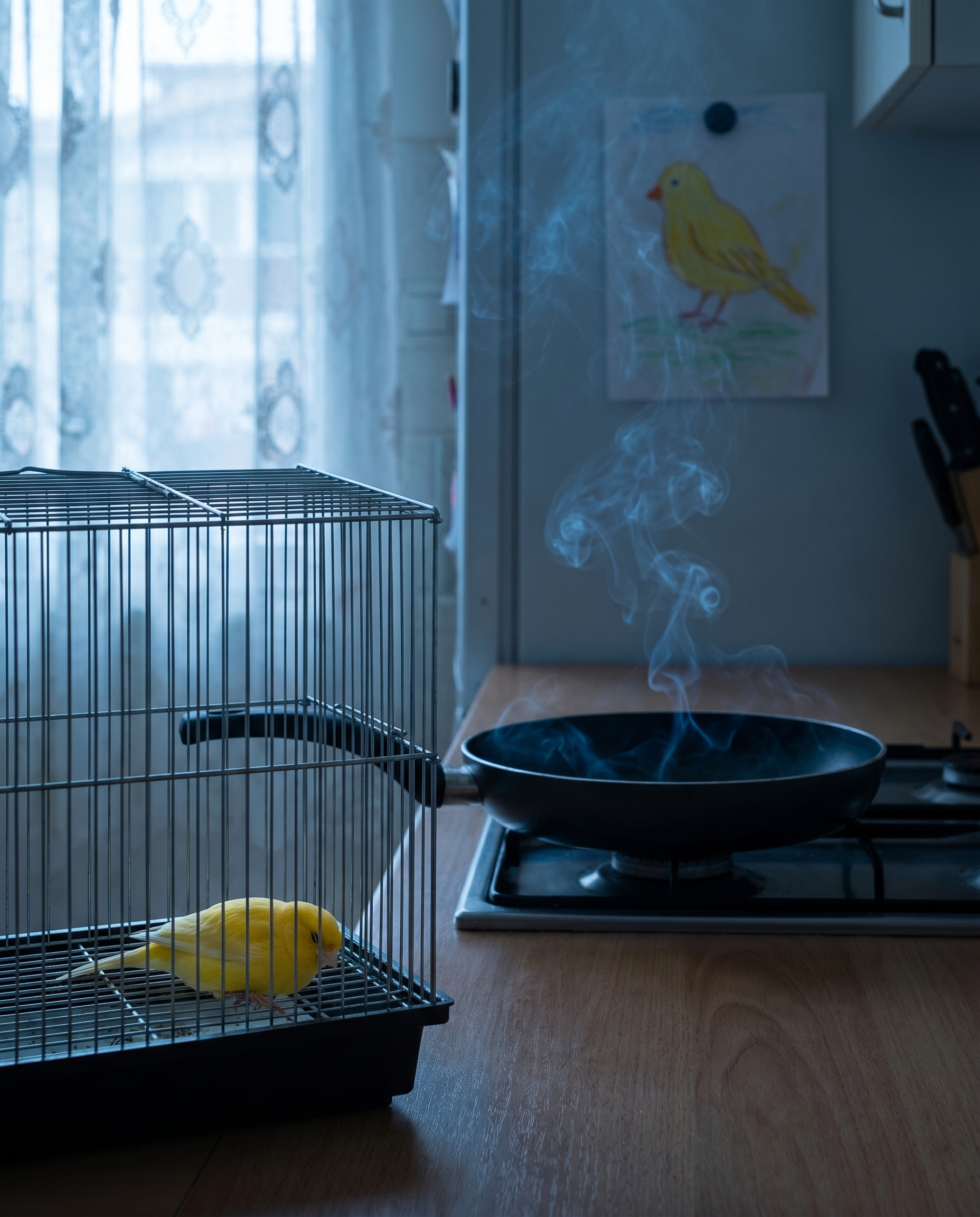 Safe kitchen guide Facebook ad