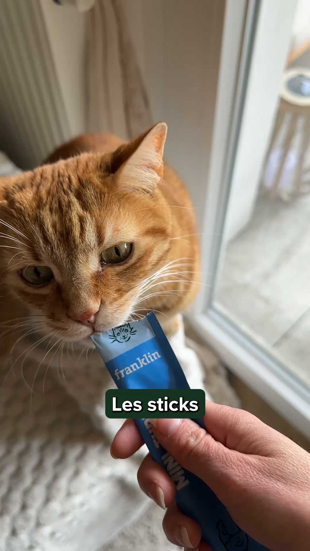 Franklin Pet Food Facebook ad: Le trio parfait