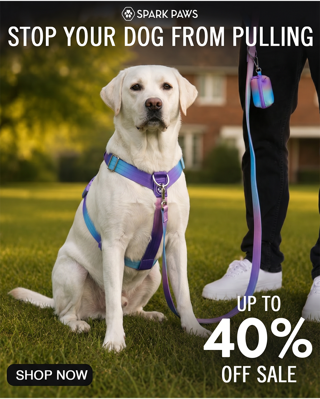 Spark Paws Facebook ad