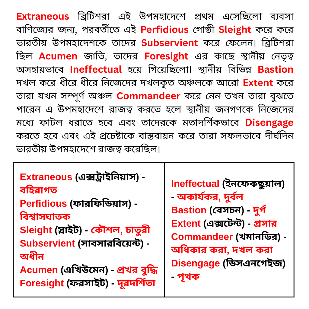 Vocabulary Trainer Facebook ad: অবিশ্বাস্য মূল্য ছাড় ৫০% ডিস্কউন্টে অর্ডার করুন আজই