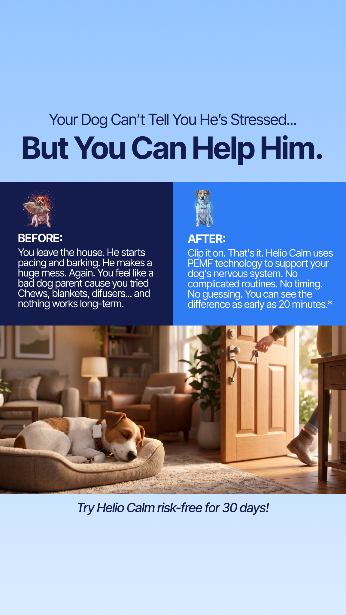 Helio Pet Facebook ad