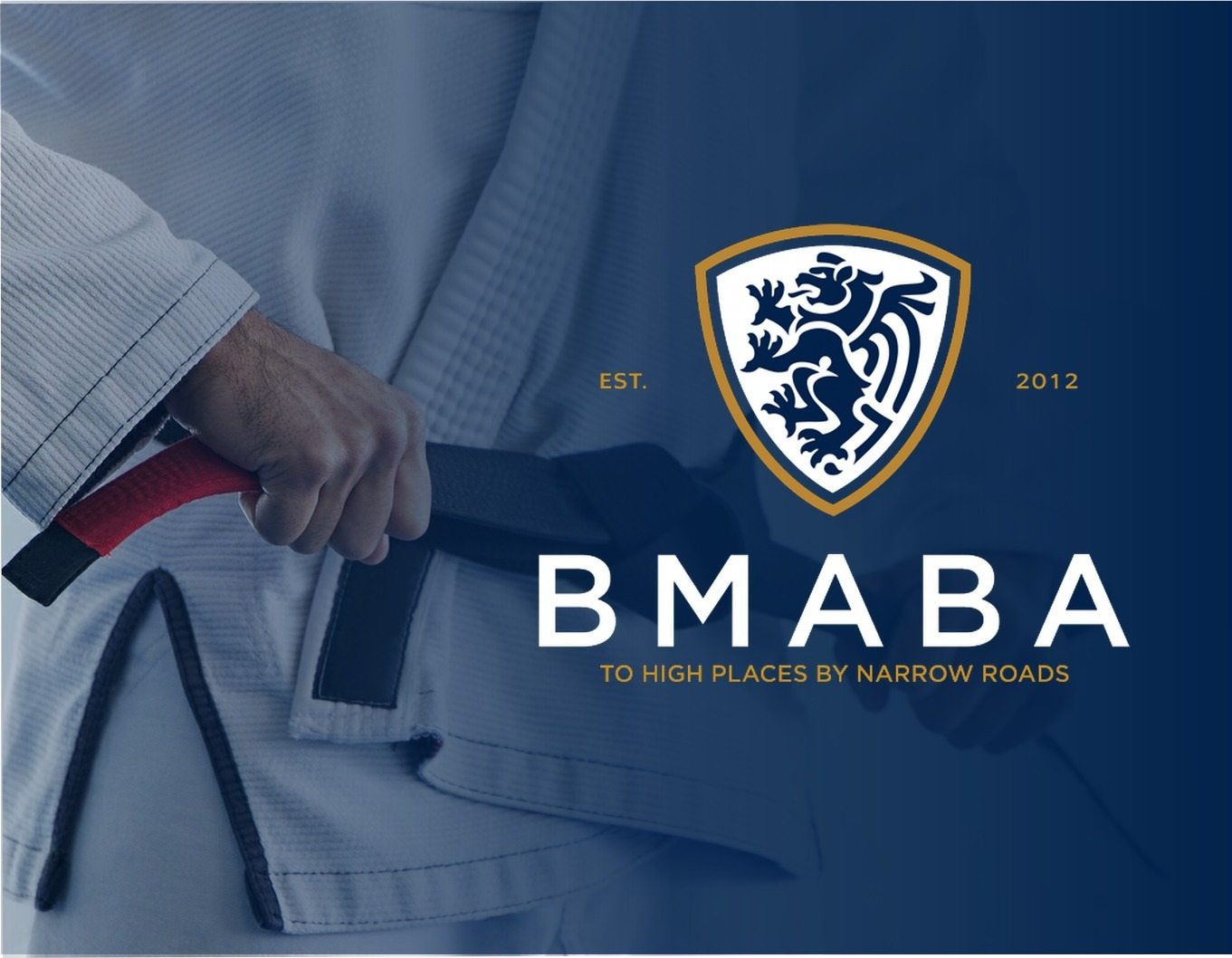 British Martial Arts & Boxing Association Facebook ad