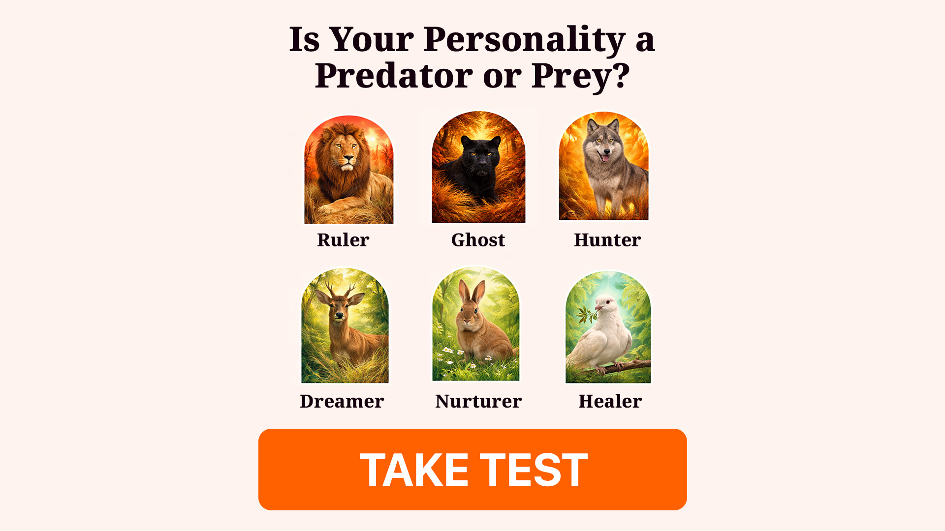 My IQ Facebook ad