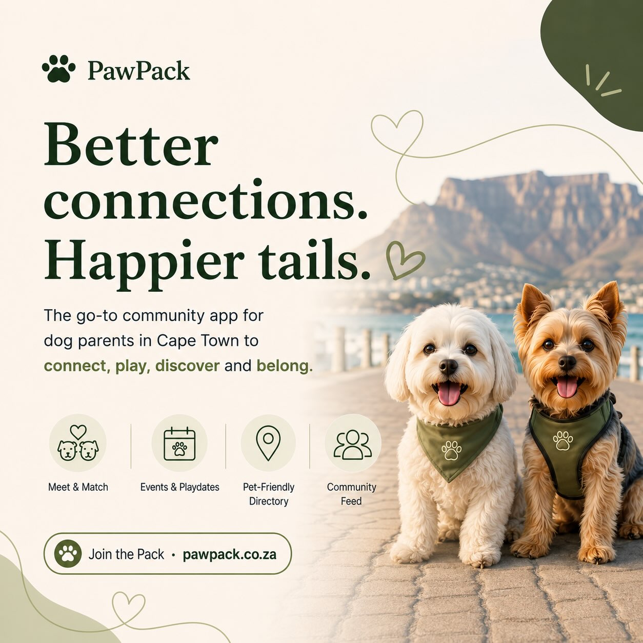 PawPack Facebook ad