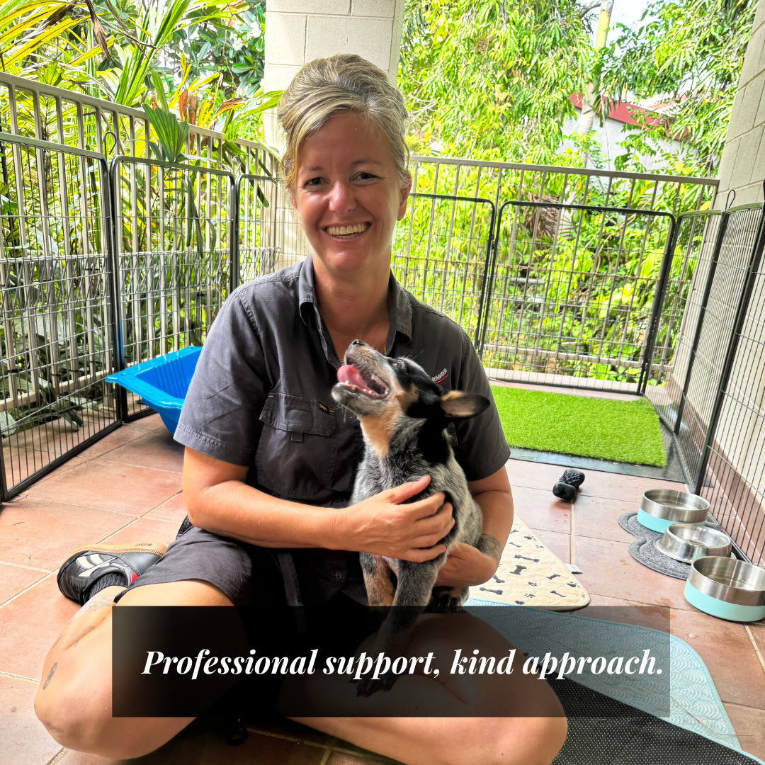 Pawsitive K9 Behaviour Facebook ad: Expert Puppy Guidance Does Not Need to Feel Harsh to Work