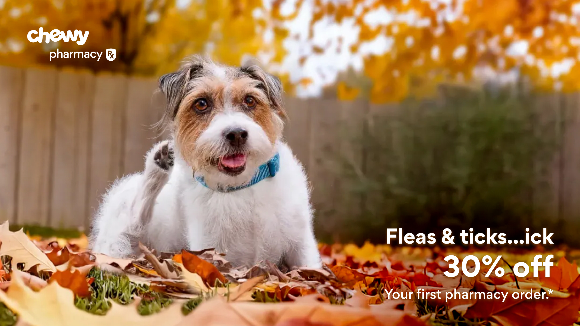 Chewy Facebook ad: Save on flea & tick meds