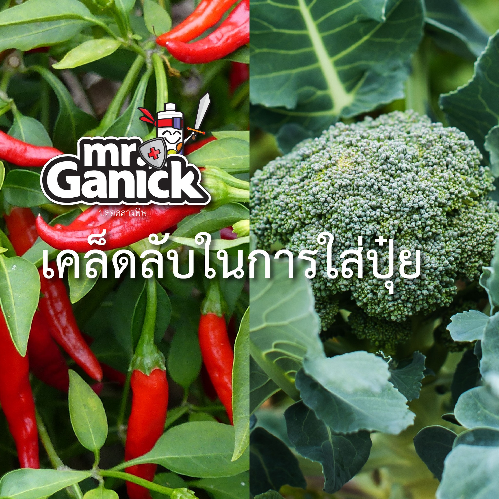 Baba Gardening _ บาบา การ์เดนนิ่ง Facebook ad