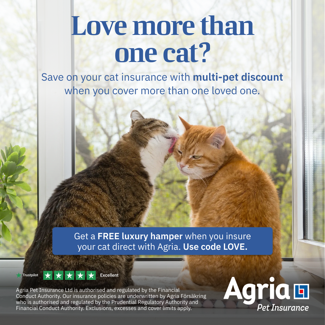 Agria Pet Insurance Facebook ad: Easy to set up, excellent cover. - Carol