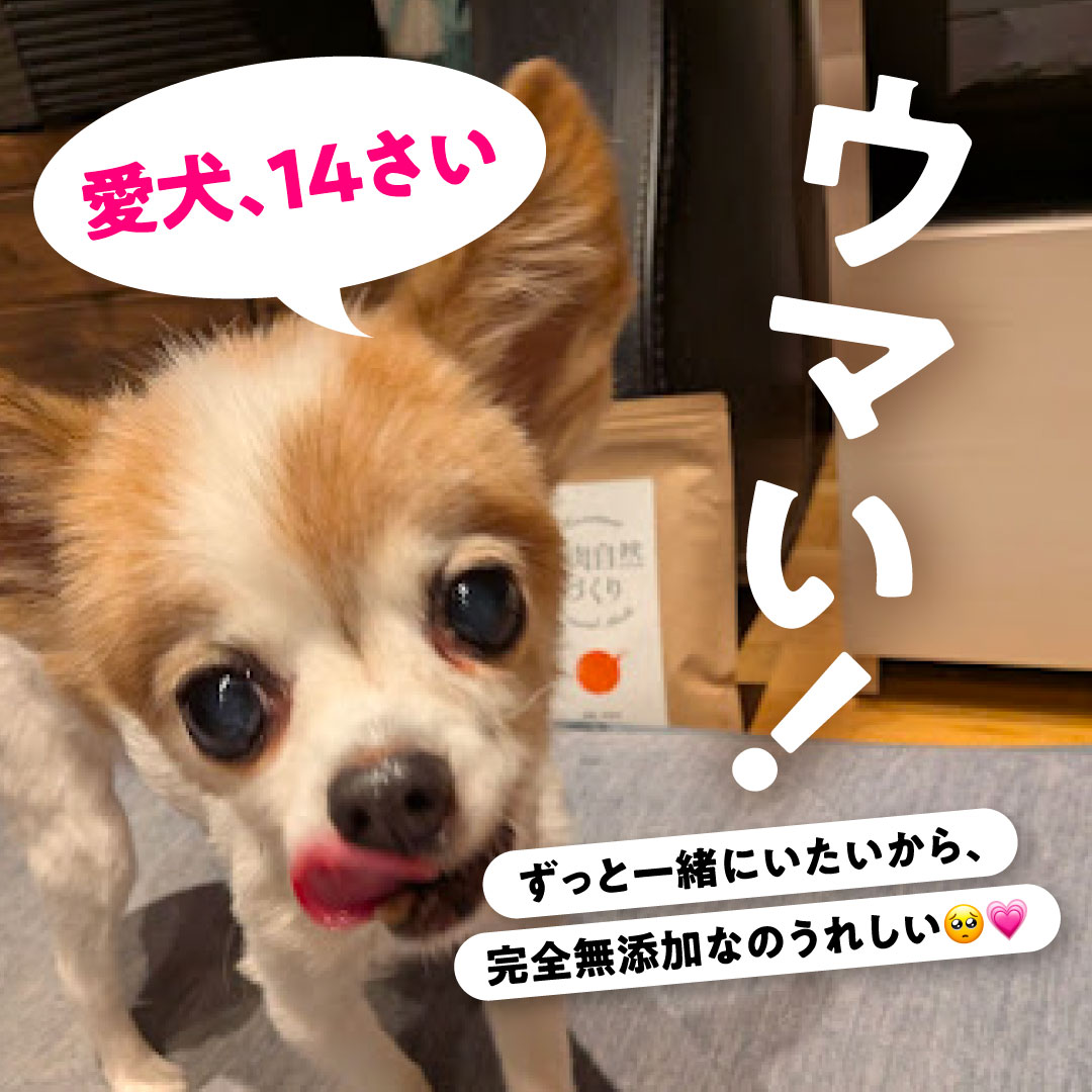 健康いぬ生活 Facebook ad