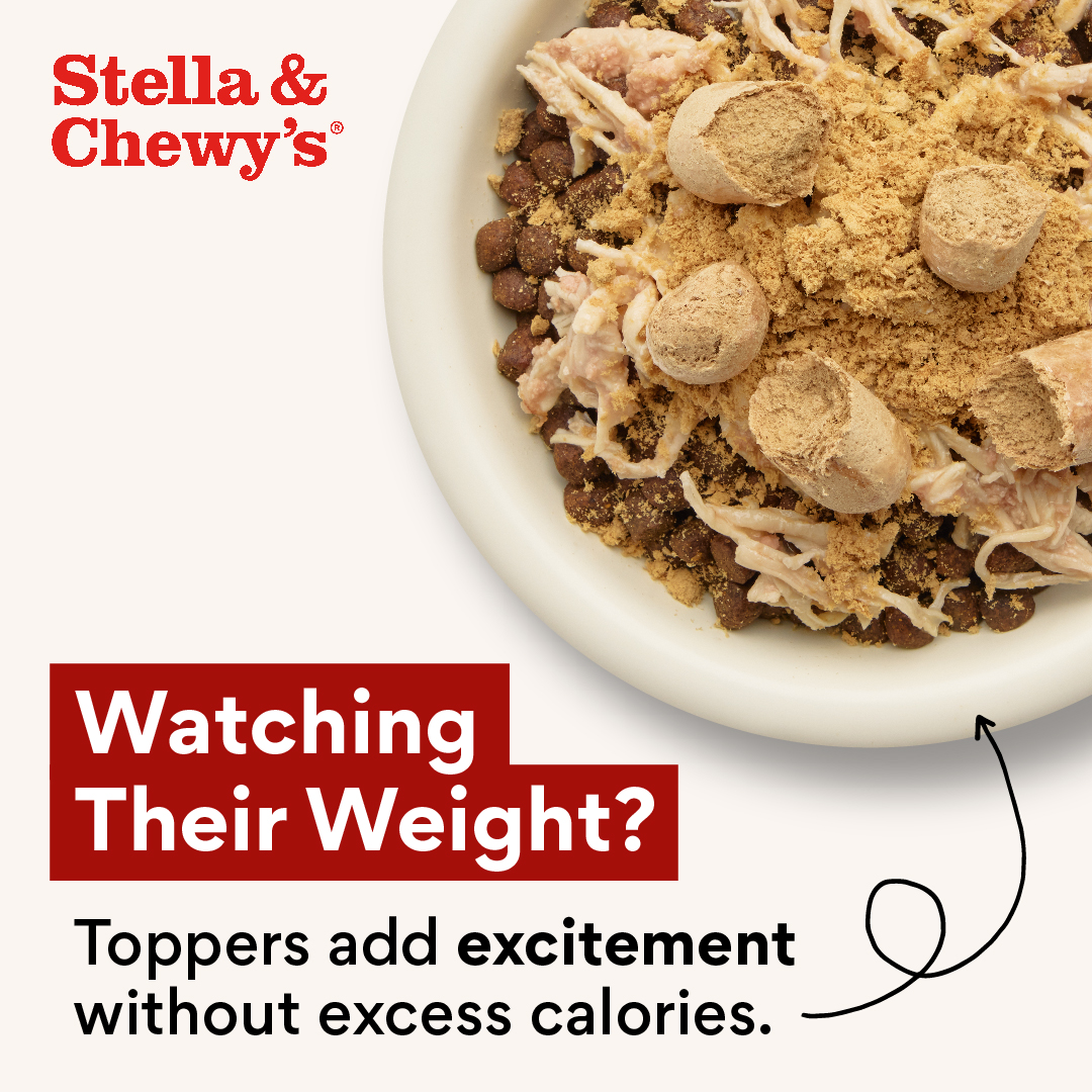Chewy Facebook ad