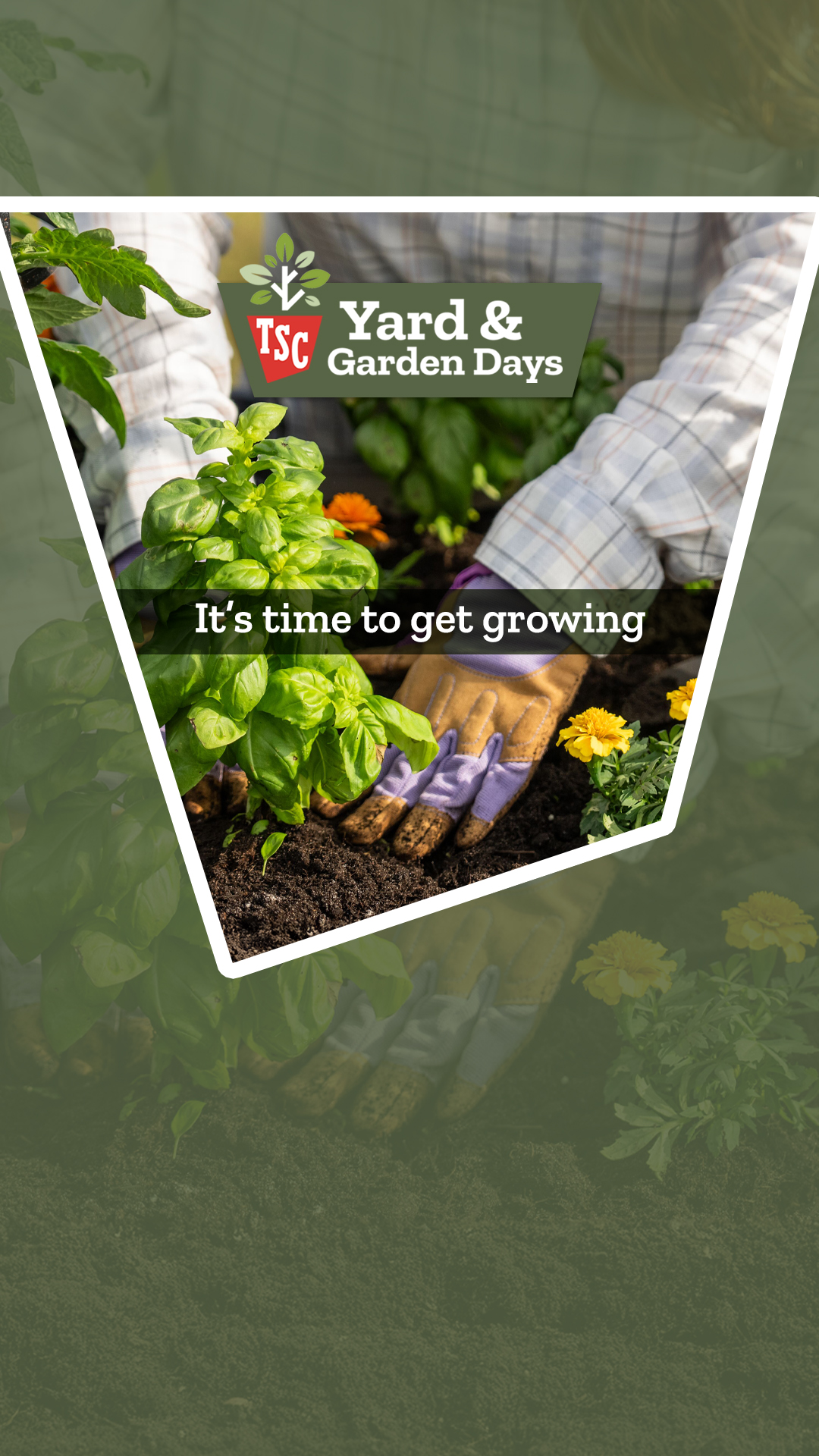 Tractor Supply Co. Facebook ad