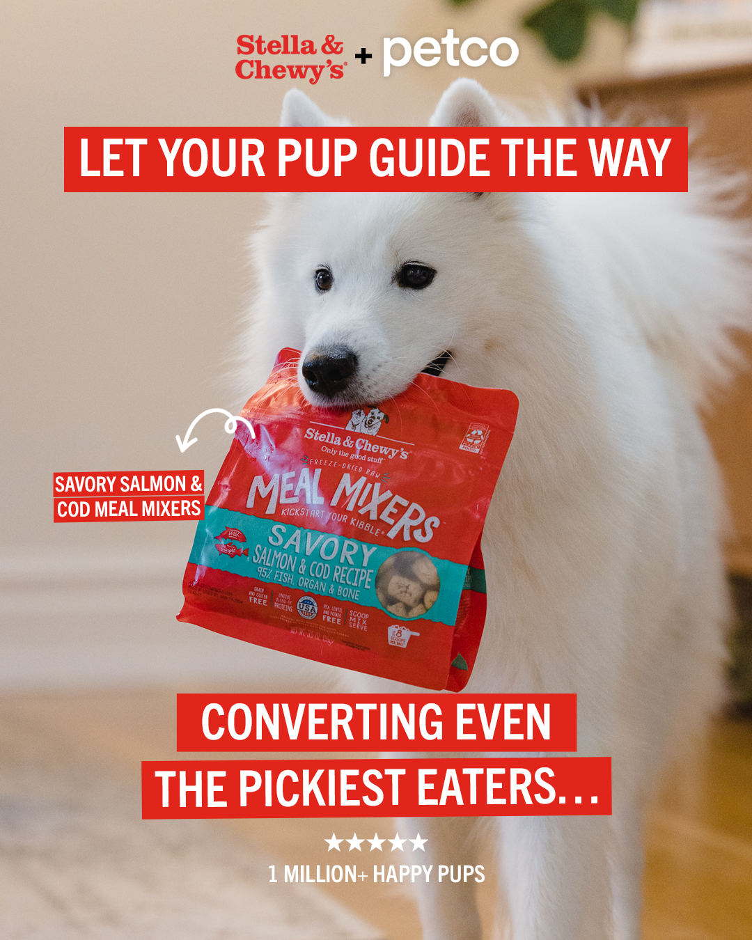 Stella & Chewy's Facebook ad