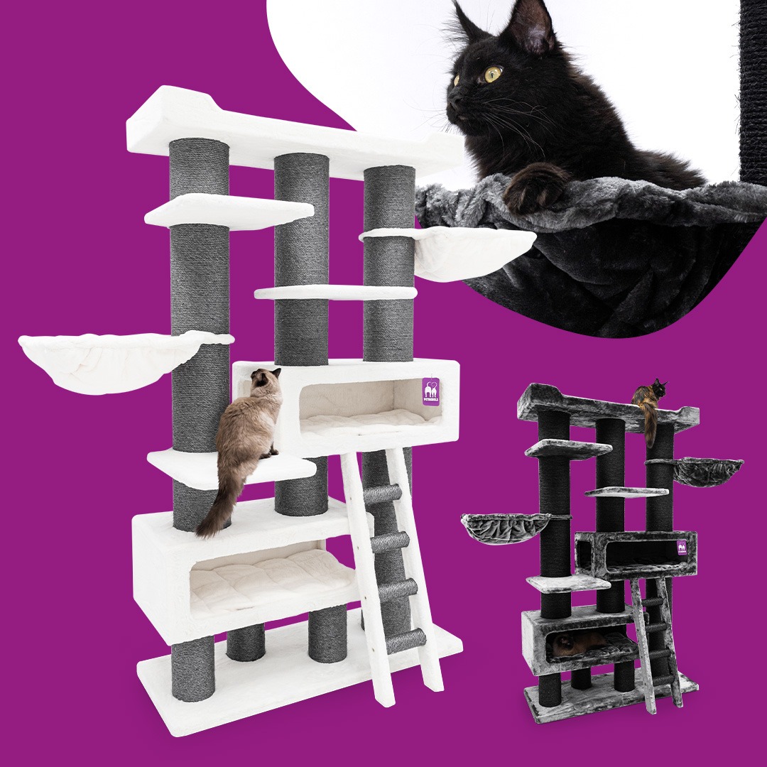 petrebels.com Facebook ad